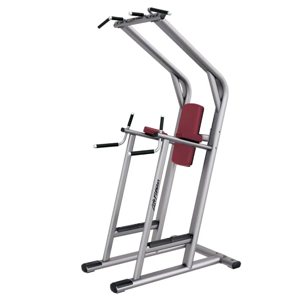 Commercial chin dip leg raise Kenya &ndash; Buy Commercial Gym Equipment Nairobi | Nairobi Fitness Hub (View 2)