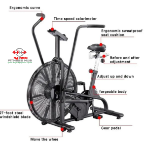 Commercial Airbike